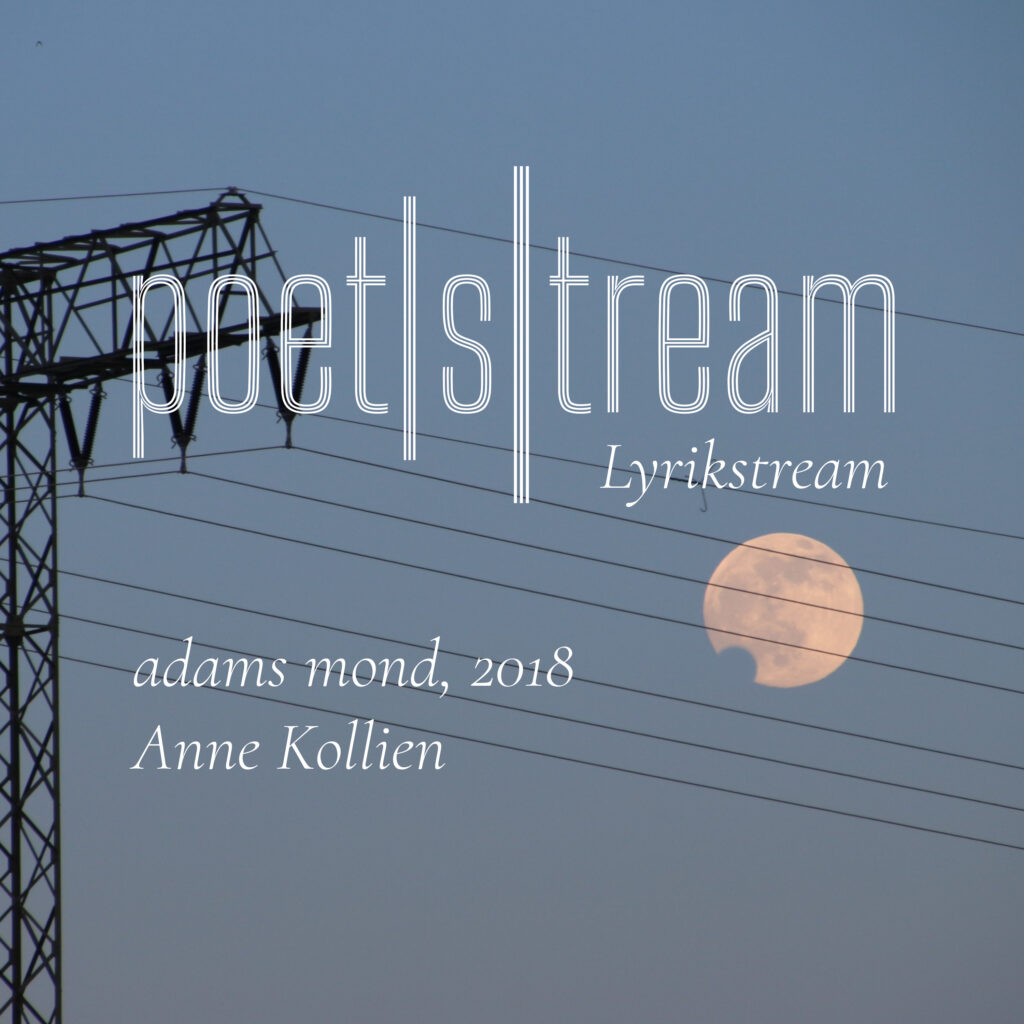 Cover adams mond, 2018 © Anne Kollien