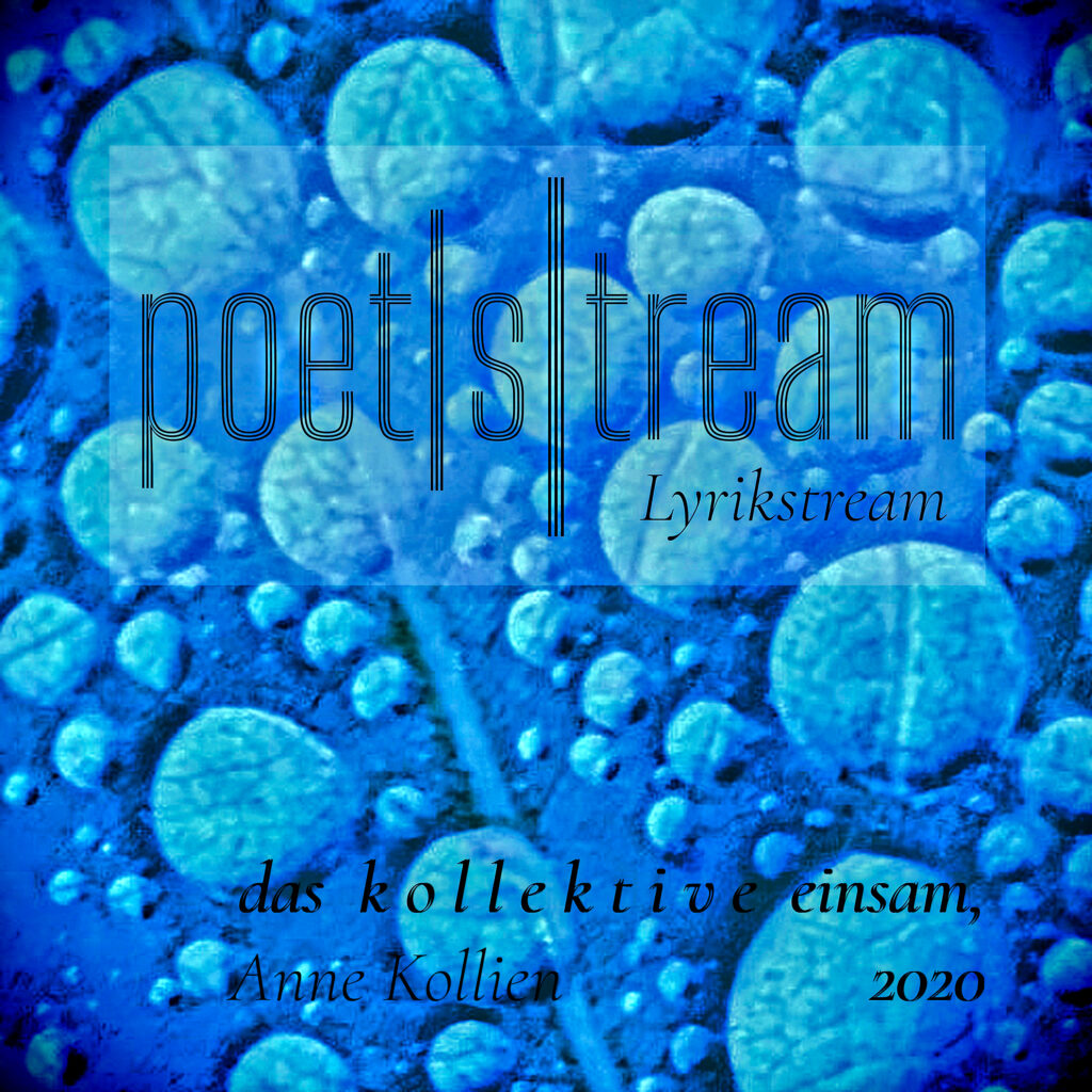 Cover das kollektive einsam, 2020 © Anne Kollien