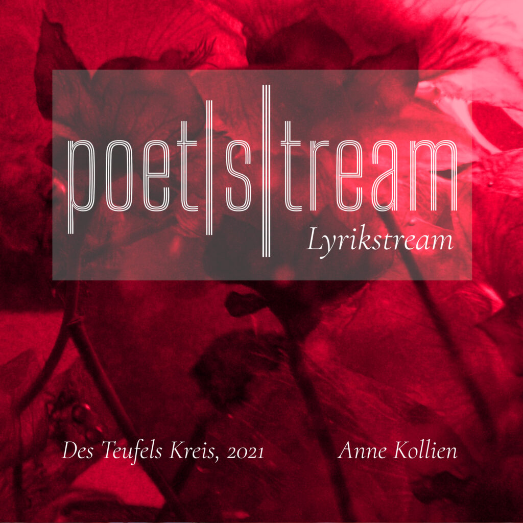Cover des teufels kreis, 2021 © Anne Kollien