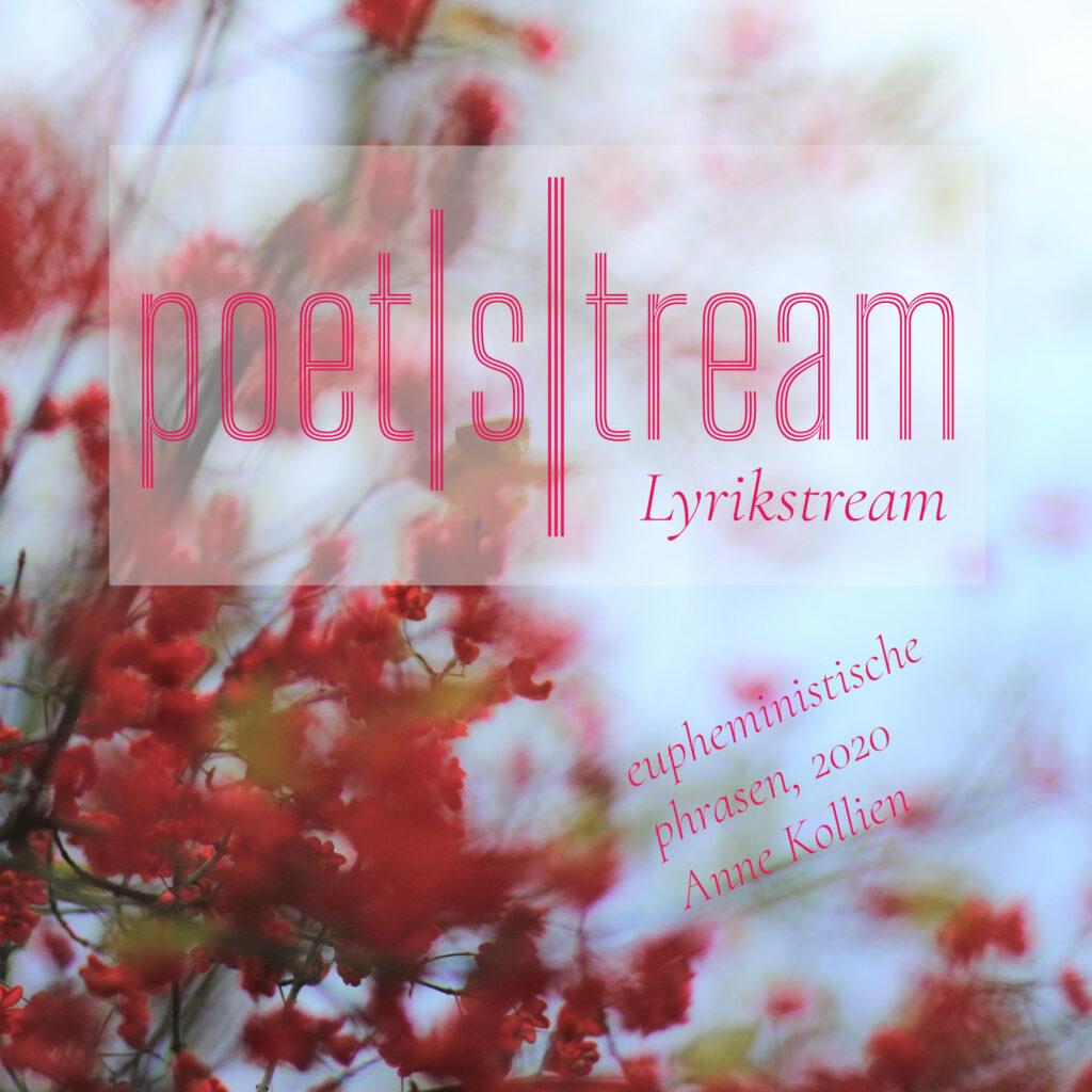 Cover eupheministische phrasen, 2020 © Anne Kollien