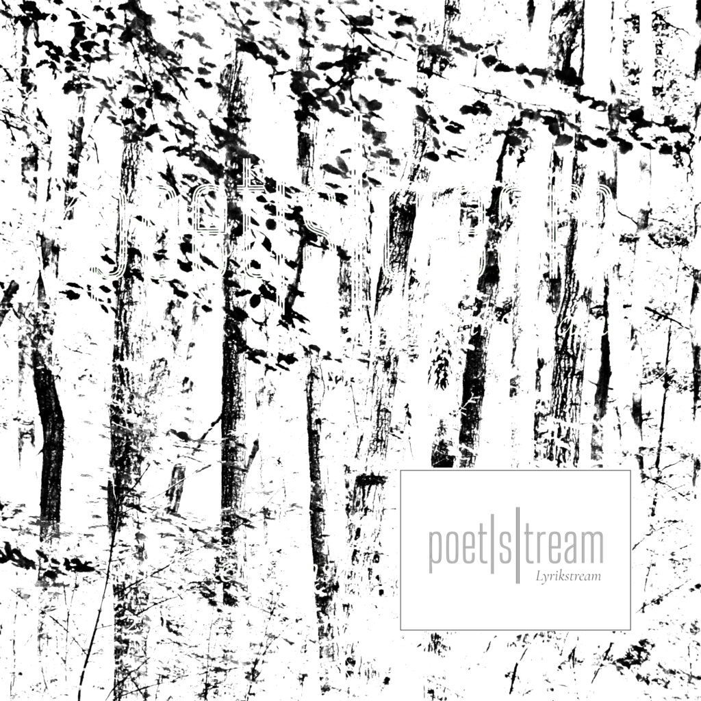 Cover if love was a poem, 2022 © Anne Kollien