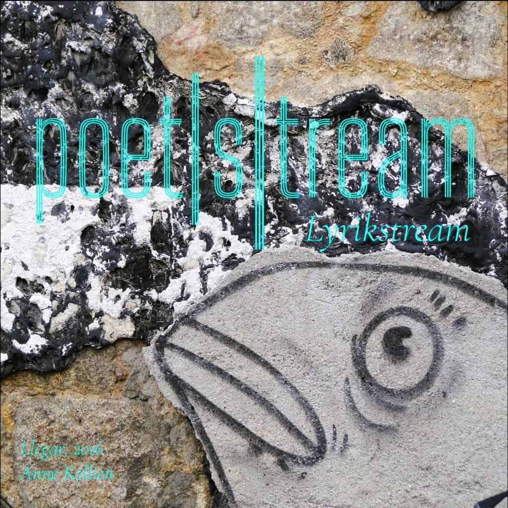 Cover llegar, 2016 © Anne Kollien