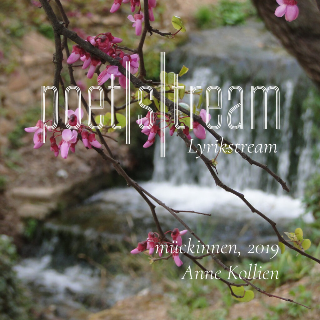 Cover mückinnen, 2019 © Anne Kollien